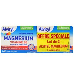 Alvityl Magnesium Vit B6 X45 Lot De 2