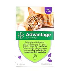 Advantage 80 - 6 pipettes