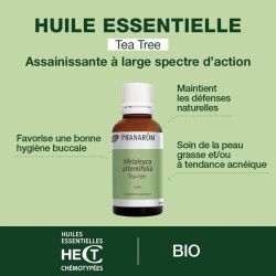 Huile Essentielle de Tea-tree grand format - Bio - 30 ml