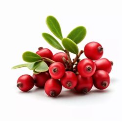 Busserole Phytostandard - 500 ml