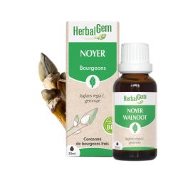 Herbalgem Macerat M Conc Noyer 30Ml