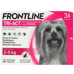 Frontline Tri Act Chien Xs P3