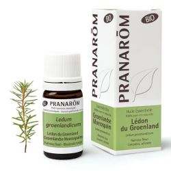 Huile Essentielle de Lédon du Groenland - Bio - 5 ml