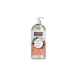 Cattier Gbd 1L Fruits Des Bois
