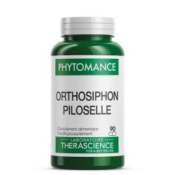 Orthosiphon Piloselle - 90 gélules