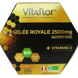 Vitaflor Gel Roy Bio 2500Mgvit D 20Amp