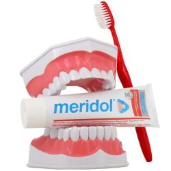 Meridol Soin Complet Dent Sensi 75Ml