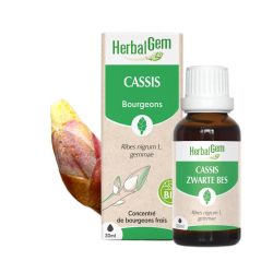 Herbalgem Macerat M Conc Cassis 30Ml