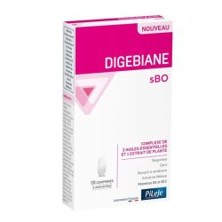 Pileje Digebiane Sbo Cpr Bt20