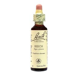 Bach Beech 71703