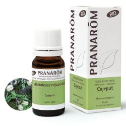 Huile Essentielle de Cajeput - Bio - 10 ml