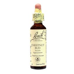 Bach Chestnut Bud 71707