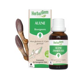 Herbalgem Macerat M Conc Aulne 30Ml