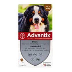 Advantix Tres Grand Chien 6X6Ml