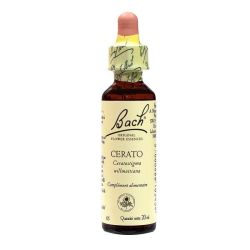 Bach Cerato 71705