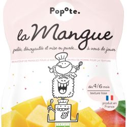 Popote Gourde Mangue Bio 120G