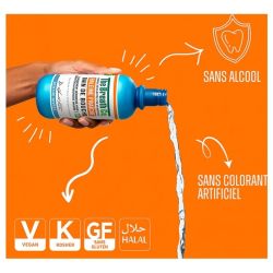 Bain De Bouche Menthe Givree - 500 ml