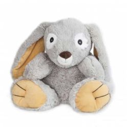 Bouillotte Peluche - Bluey