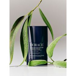 Déodorant Protection 24H - Eucalyptus & Sauge - 50 ml