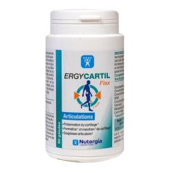 Nutergia Ergycartil Flex Bte 90 Gel