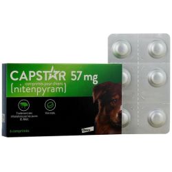 Capstar 57mg Chiens - 6 comprimés