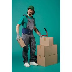 Lombacross Activity - Hauteur 26 cm, Taille 1