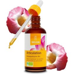 EPB Harpagophyton Bio - 60 ml