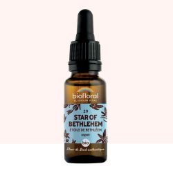 Fleur de Bach n 29 Star of Bethlehem, Étoile de Bethléem - Bio Demeter - 20 ml