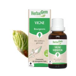 Herbalgem Macerat M Conc Vigne 30Ml