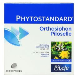 Pileje Phyto Orthosiphon/Piloselle Cpr30