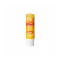 Baume à Lèvres - Mangue - Nutrition intense - 4 g