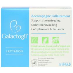 Galactogil Lactation Inf Sachet 24