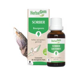 Herbalgem Macerat M Conc Sorbier30Mlderef