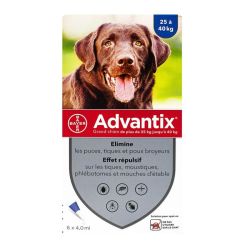 Advantix Grand Chien Pipet 4Mlx6