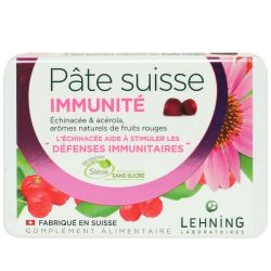 Lehning Pate Suisse Echinaacerol Gom B40