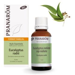 Huile Essentielle d'Eucalyptus radié - Bio - 30 ml