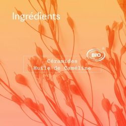 Cera Botanica Coffret Réparation Mains & Lèvres - 50 ml + 10 ml