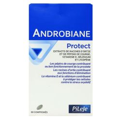 Pileje Androbiane Protect Caps 60