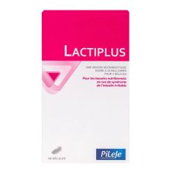Pileje Lactiplus 56 Gel