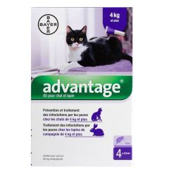 Advantage 80 Grand Chat/Lapin 0,4Ml 4
