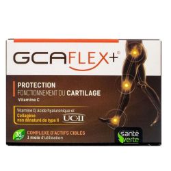 Sante V Gca Collagene  30