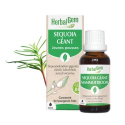 Herbalgem Macerat M Conc Sequoia Deref