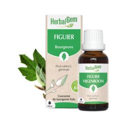 Herbalgem Macerat M Conc Figuier 30Ml