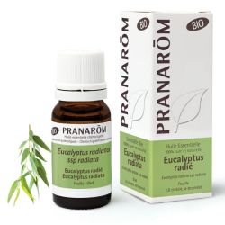 Huile Essentielle d'Eucalyptus radié - Bio - 10 ml