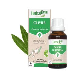 Herbalgem Macerat M Conc Olivier 30Ml