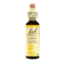 Bach Gorse 71713