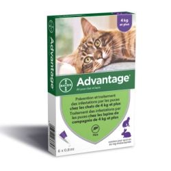 Advantage 80 - 6 pipettes