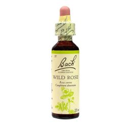 Bach Wild Rose 71737