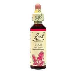 Bach Pine 71724
