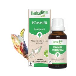 Herbalgem Macerat M Conc Pommier 30Ml